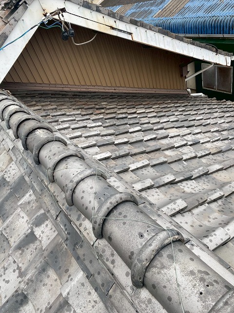 凍害被害の対策